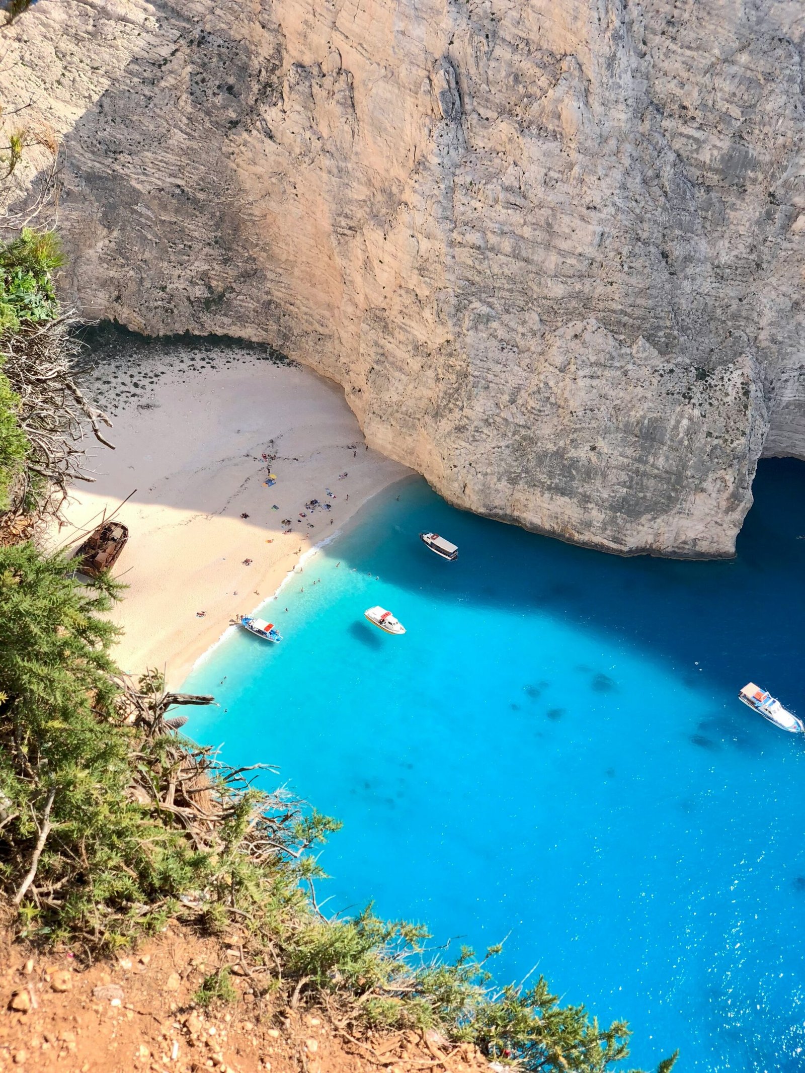 people on beach during daytime