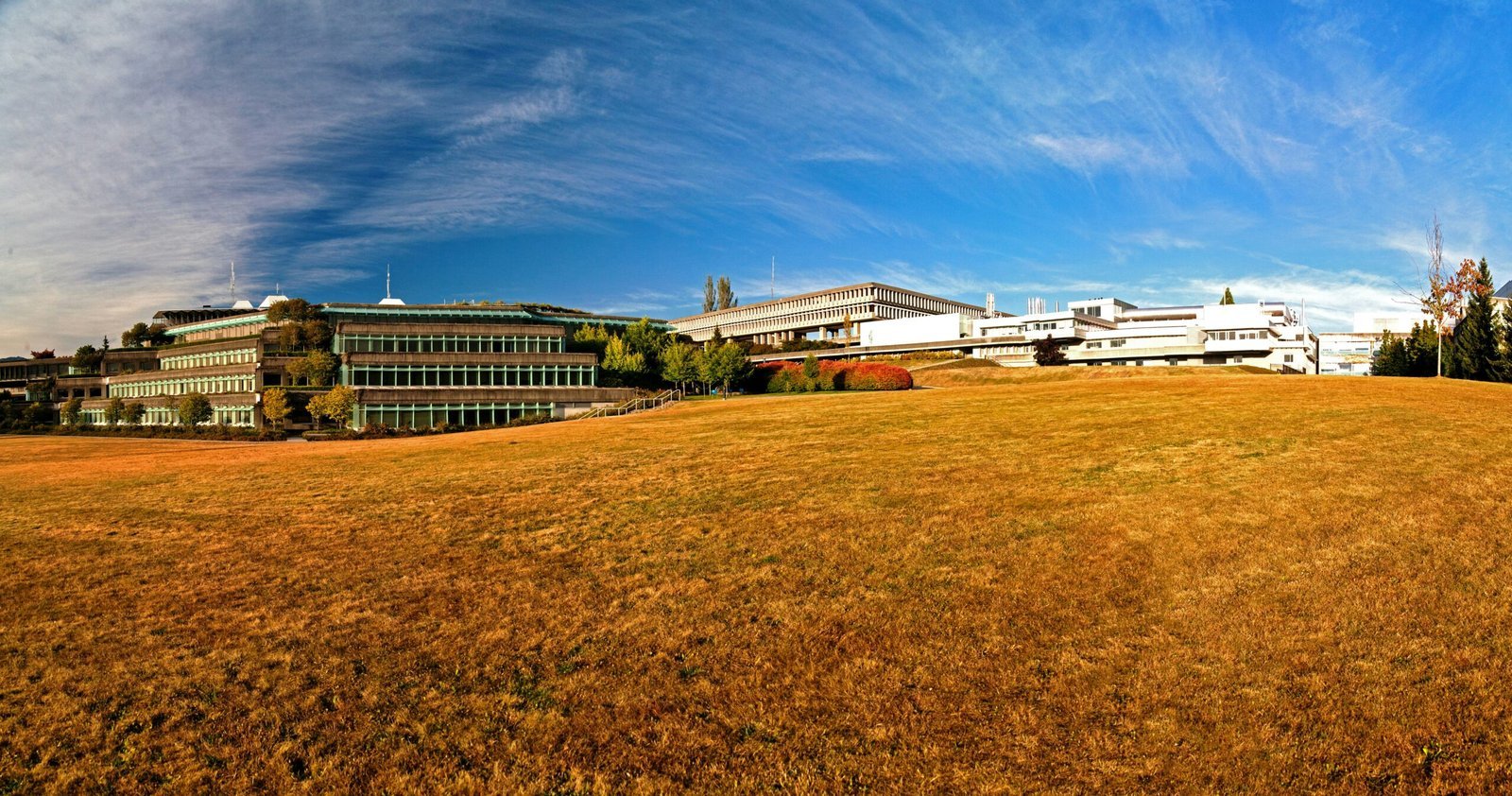 white and brown concrete building under blue sky during daytime